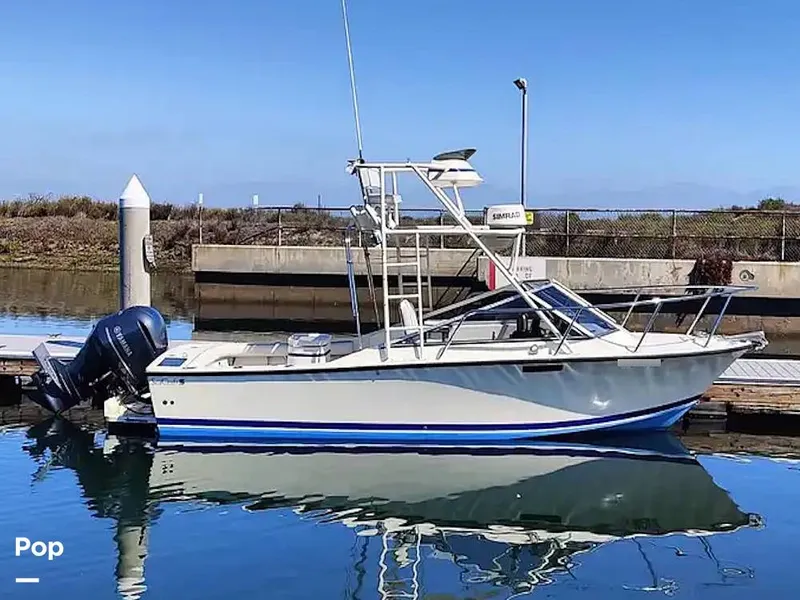 Slide: The Image of SeaCraft (Potter Built) SCEPTRE 23 1978 - 16303007