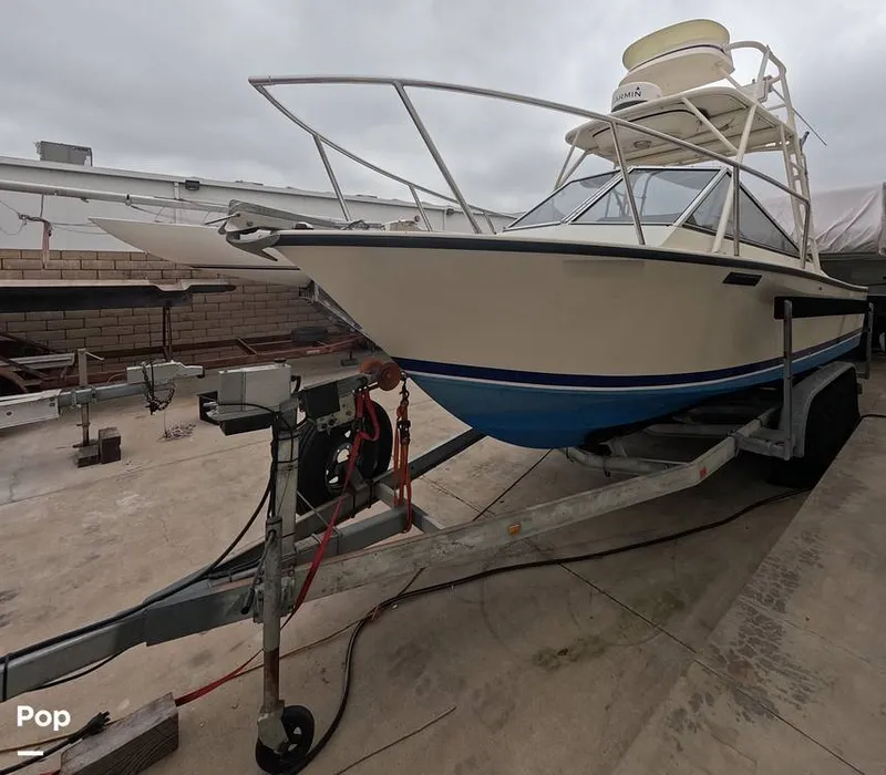 Slide: The Image of SeaCraft (Potter Built) SCEPTRE 23 1978 - 16302989