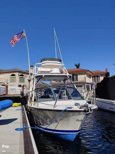 Slide: The Image of SeaCraft SCEPTRE 23 1978 - 16291226