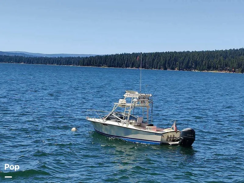 Slide: The Image of SeaCraft SCEPTRE 23 1978 - 16291227