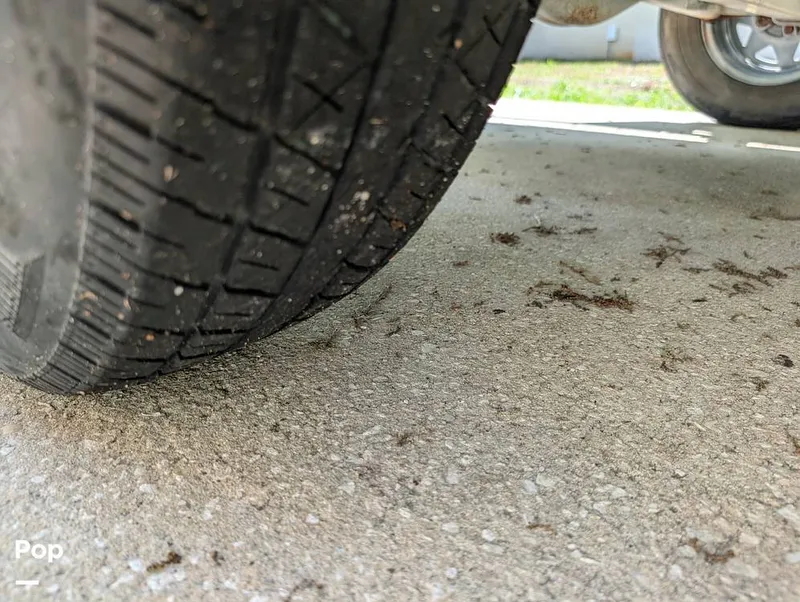 Slide: The Image of Cayo Boatwords 173 2017 - 16288238