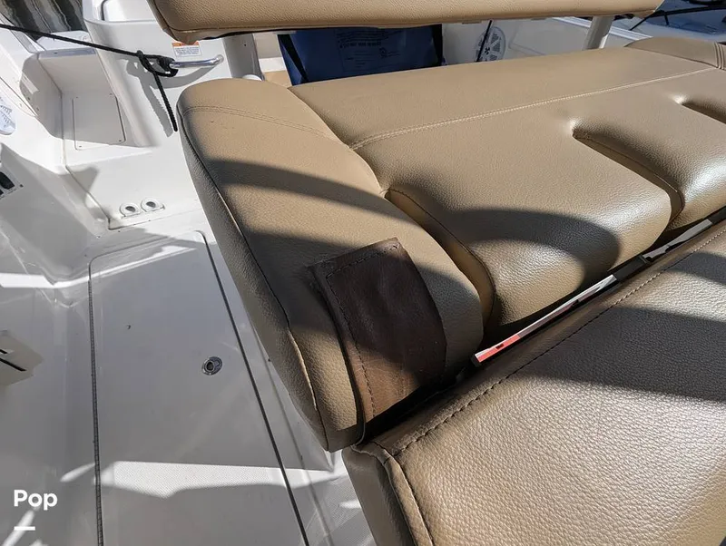 Slide: The Image of Trophy T24CC 2023 - 16241239