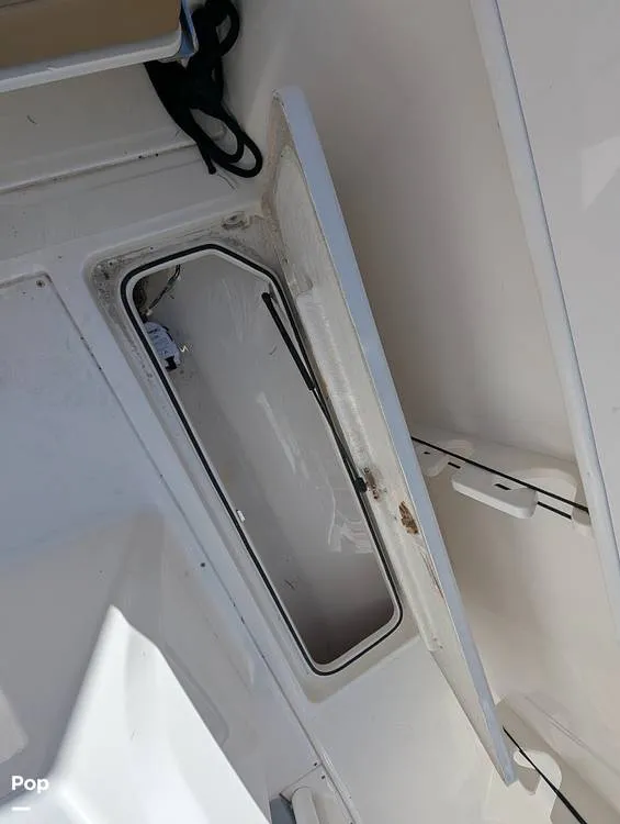 Slide: The Image of Trophy T24CC 2023 - 16241269