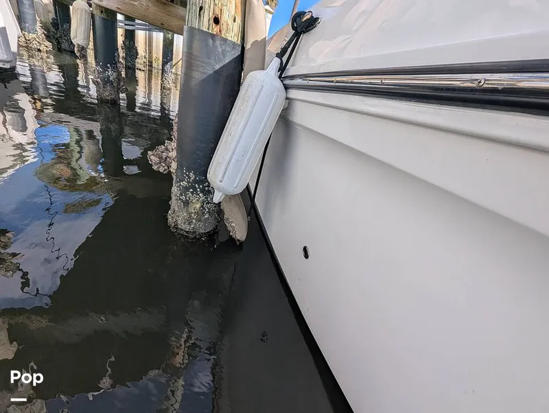 Slide: The Image of Trophy T24CC 2023 - 16241302