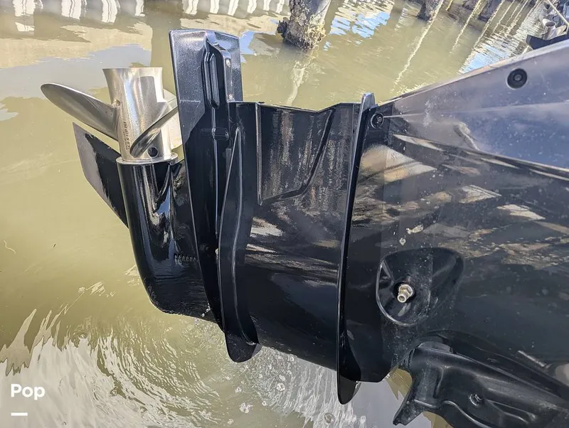 Slide: The Image of Trophy T24CC 2023 - 16241308