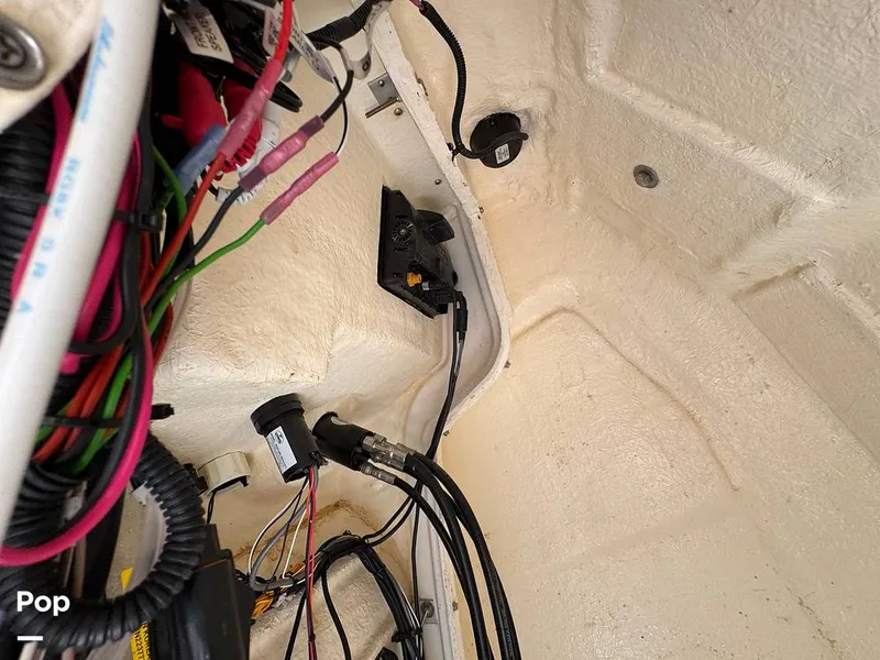 Slide: The Image of Trophy T24CC 2023 - 16273045