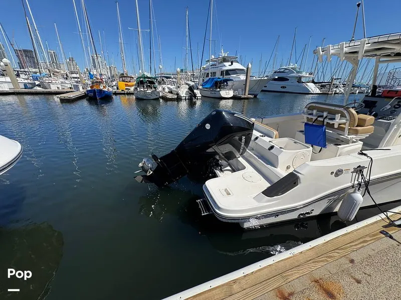 Slide: The Image of Trophy T24CC 2023 - 16273056