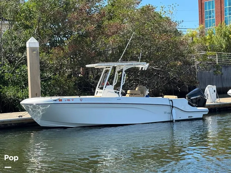 Slide: The Image of Trophy T24CC 2023 - 16273481