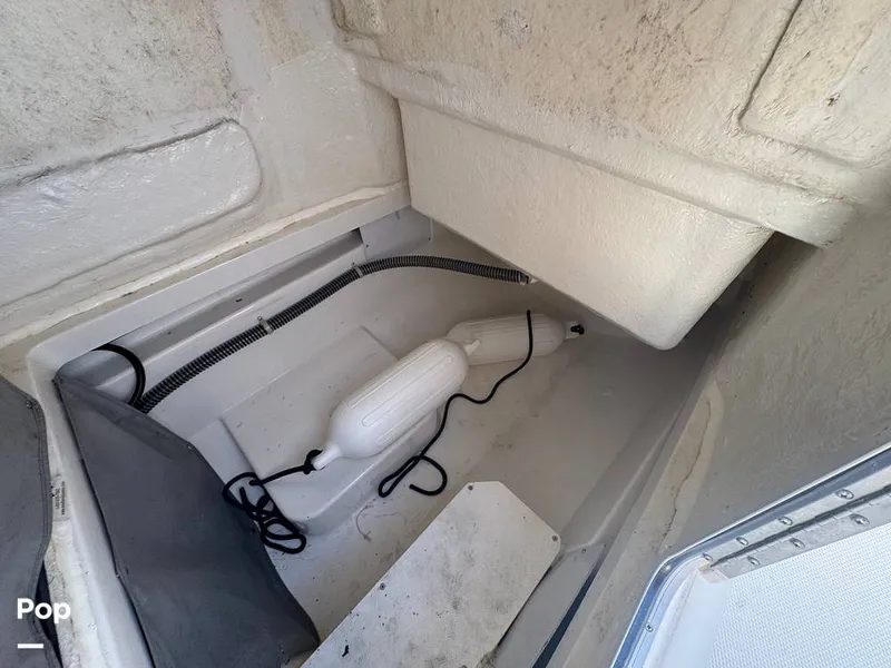 Slide: The Image of Trophy T24CC 2023 - 16288299