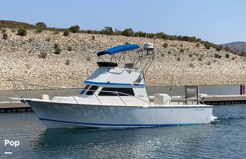 The Image of Blackman Billfisher 1985 - undefined