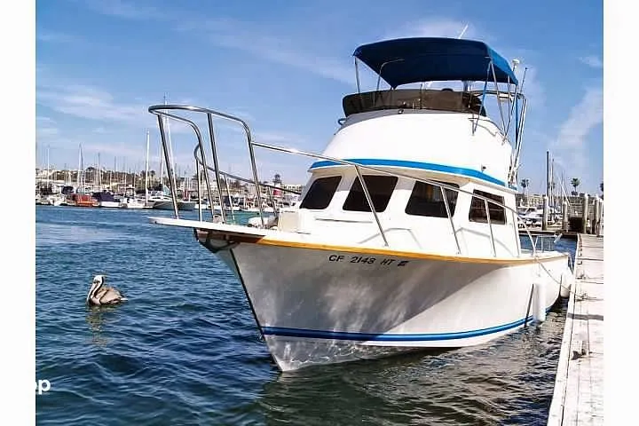 Slide: The Image of Blackman Billfisher 1985 - 16257654