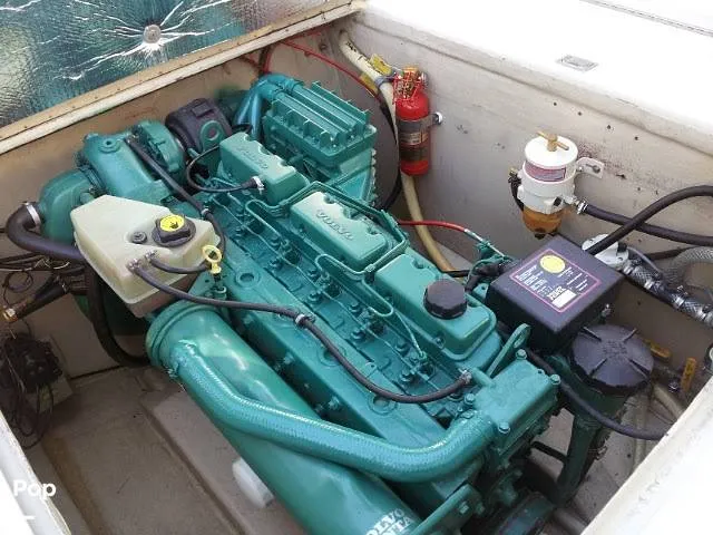 Slide: The Image of Blackman Billfisher 1985 - 16257657