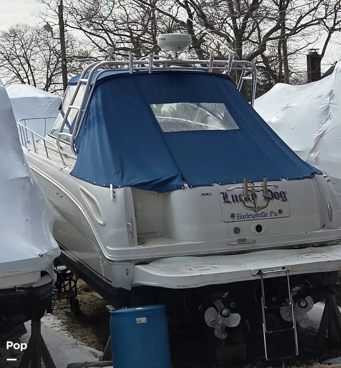 The Image of Sea Ray 29 Amberjack 2002 - 16226301