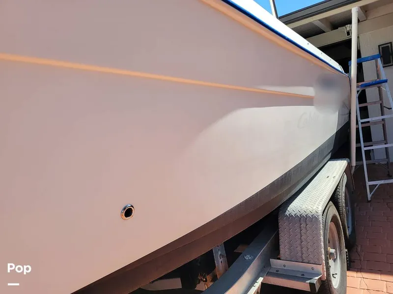 Slide: The Image of Cobia 250WA 2003 - 16238956