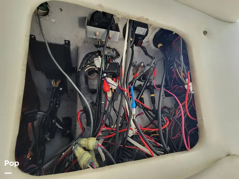 Slide: The Image of Cobia 250WA 2003 - 16238894