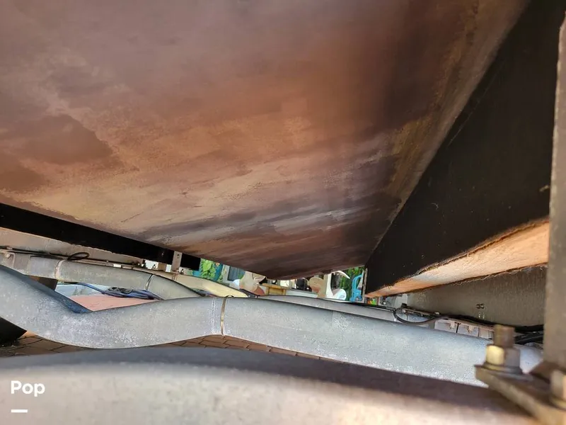 Slide: The Image of Cobia 250WA 2003 - 16238940