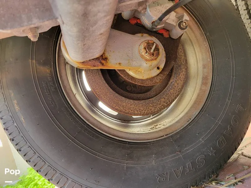 Slide: The Image of Cobia 250WA 2003 - 16238945