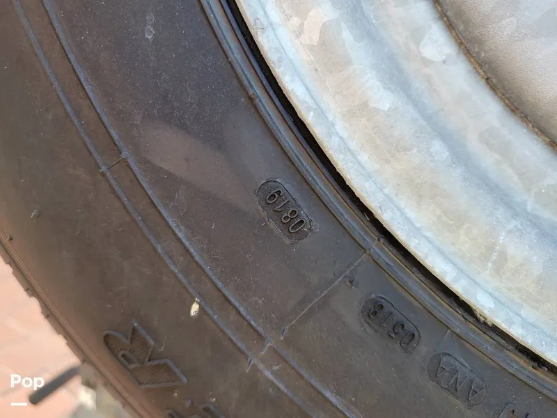 Slide: The Image of Cobia 250WA 2003 - 16238946