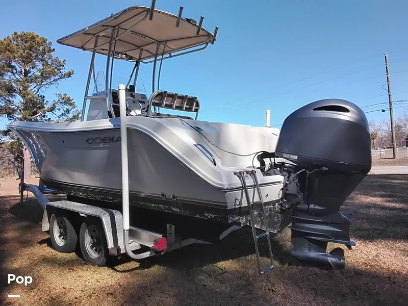 Slide: The Image of Cobia CC217 2015 - 16233031