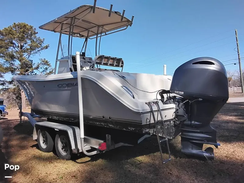 Slide: The Image of Cobia CC217 2015 - 16233032