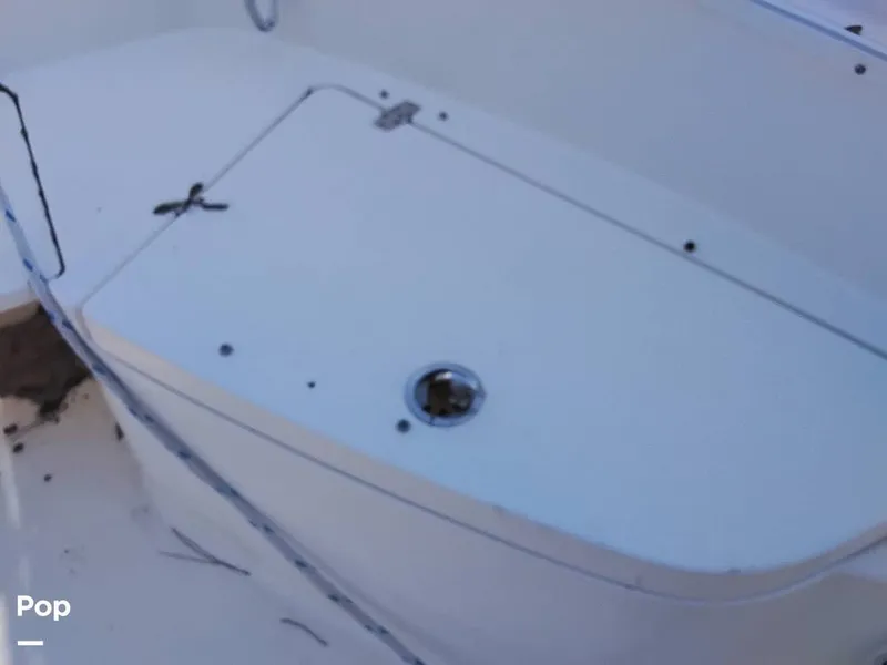 Slide: The Image of Cobia CC217 2015 - 16233013