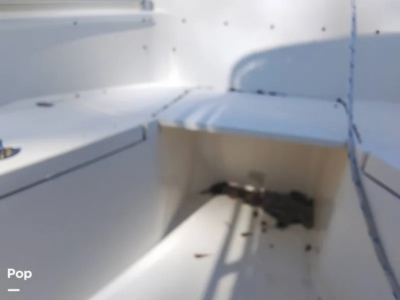 Slide: The Image of Cobia CC217 2015 - 16233014