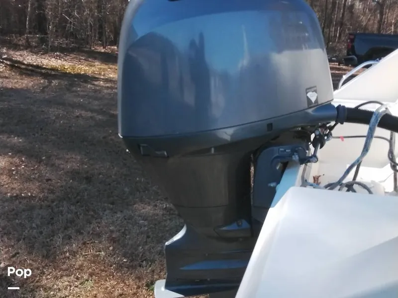 Slide: The Image of Cobia CC217 2015 - 16233059