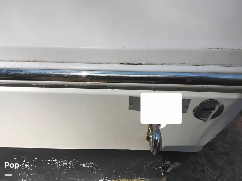 Slide: The Image of Cobia CC217 2015 - 16420575