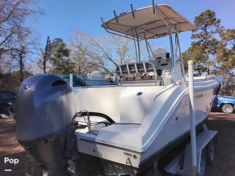 Slide: The Image of Cobia CC217 2015 - 16233046