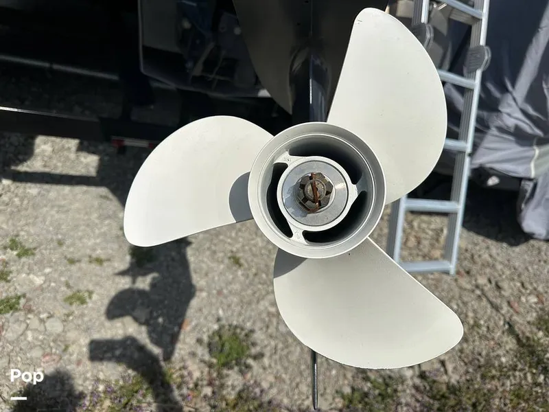 Slide: The Image of Godfrey Sweetwater 2186C 2023 - 16303618