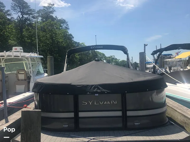 The Image of Sylvan L5 CLZ 2021 - undefined