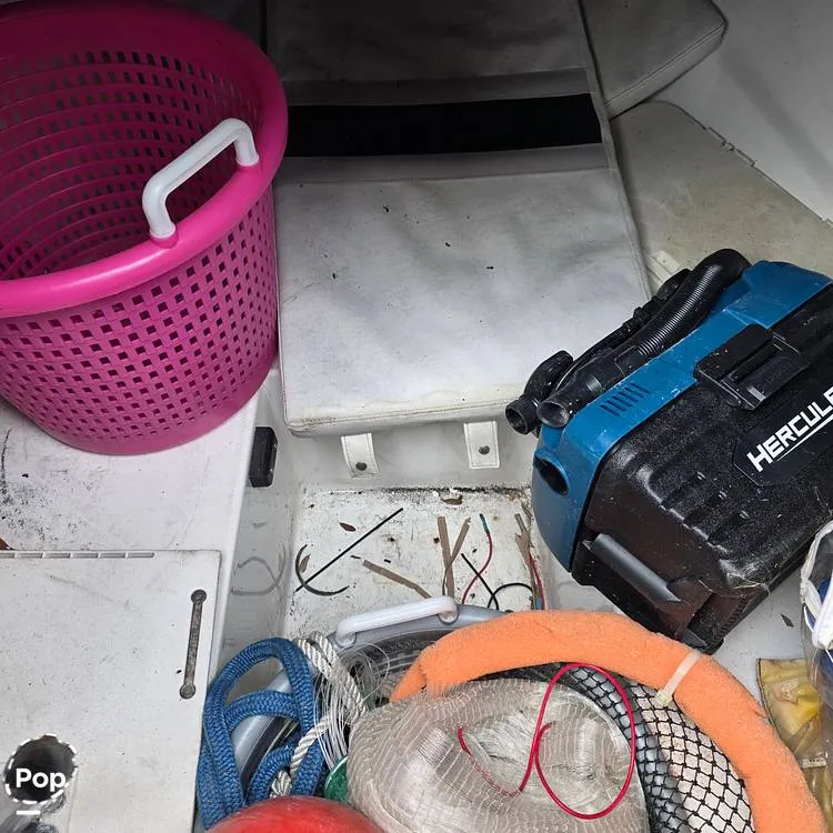 Slide: The Image of Dusky 256FC 1993 - 16308758