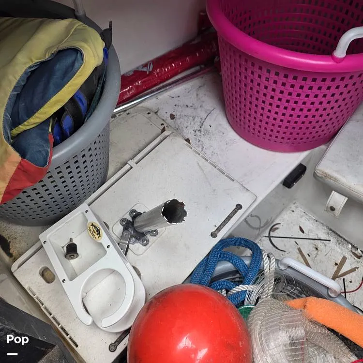 Slide: The Image of Dusky 256FC 1993 - 16308760