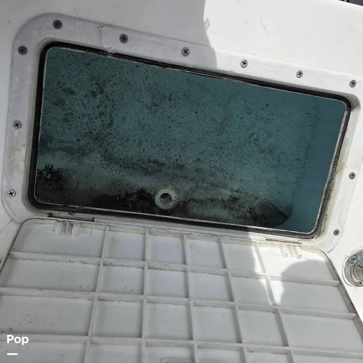 Slide: The Image of Dusky 256FC 1993 - 16308761