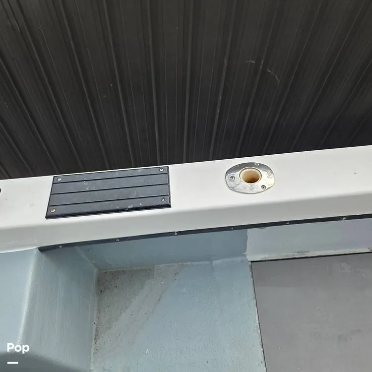 Slide: The Image of Dusky 256FC 1993 - 16308763