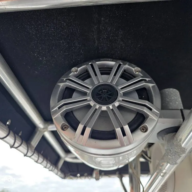 Slide: The Image of Dusky 256FC 1993 - 16308766