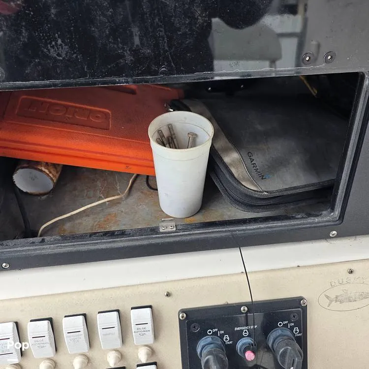 Slide: The Image of Dusky 256FC 1993 - 16308767