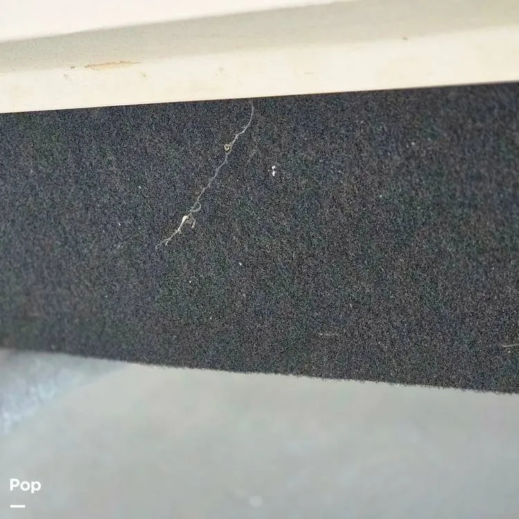 Slide: The Image of Dusky 256FC 1993 - 16308774