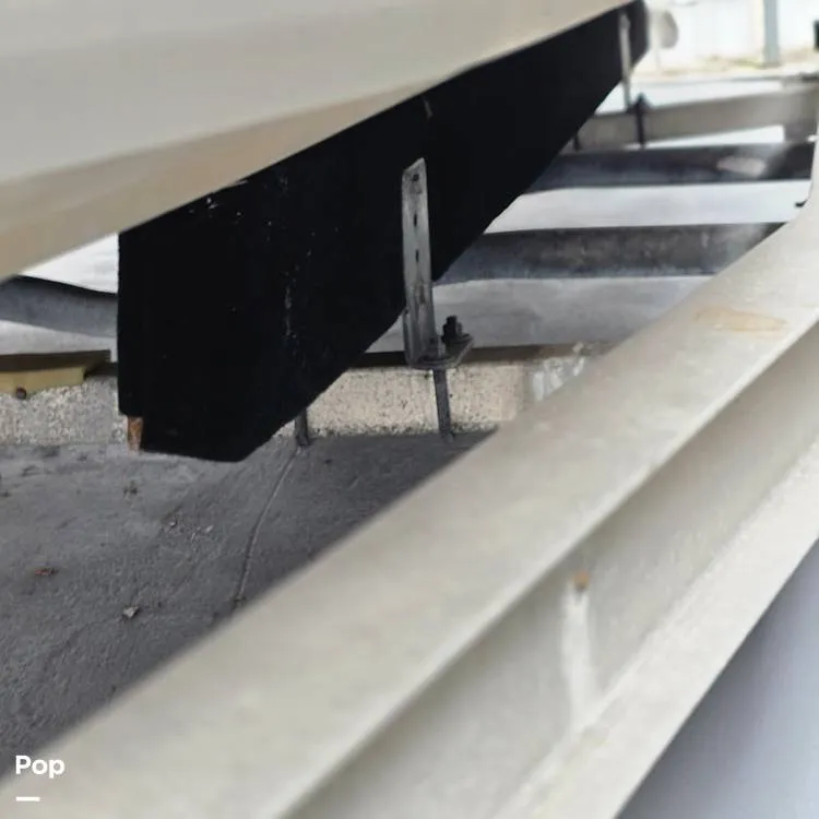 Slide: The Image of Dusky 256FC 1993 - 16308780