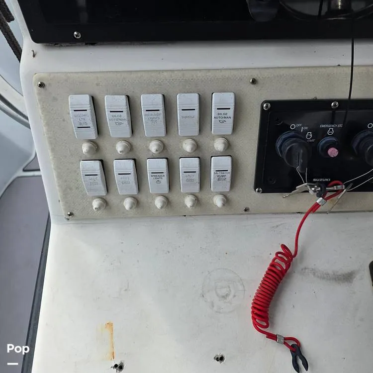 Slide: The Image of Dusky 256FC 1993 - 16308751