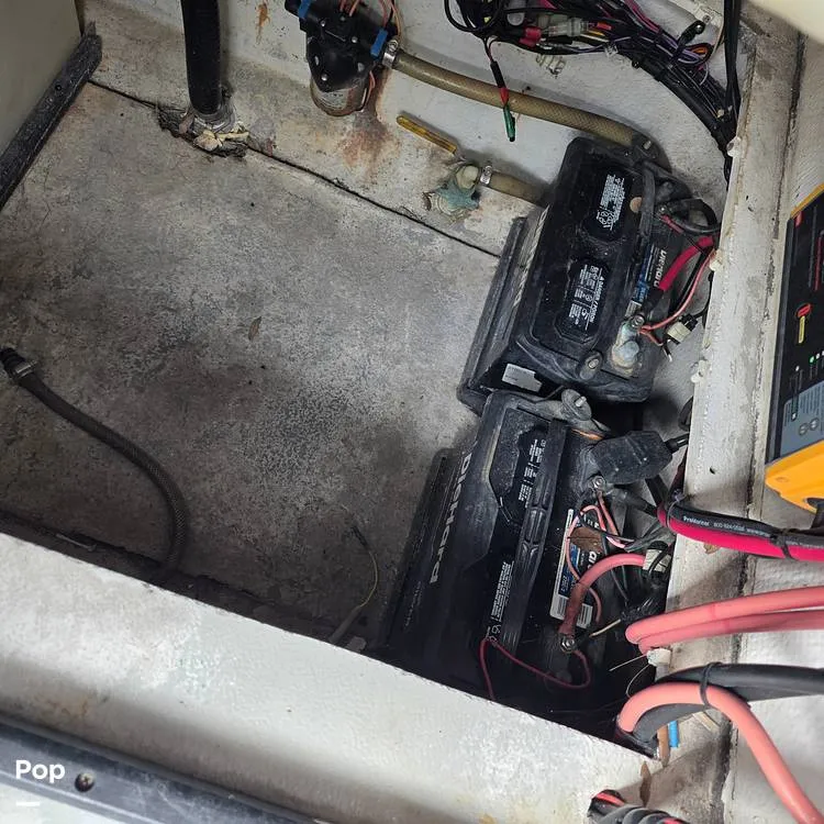 Slide: The Image of Dusky 256FC 1993 - 16308752