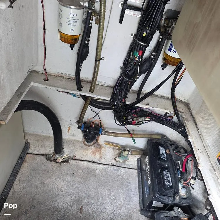 Slide: The Image of Dusky 256FC 1993 - 16308753