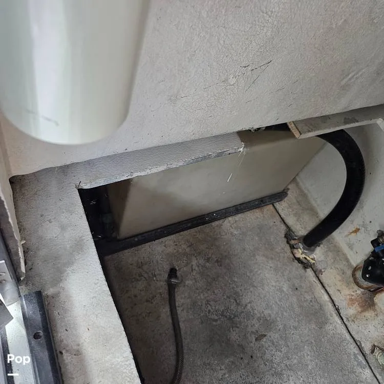 Slide: The Image of Dusky 256FC 1993 - 16308754