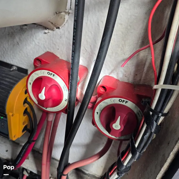 Slide: The Image of Dusky 256FC 1993 - 16308755