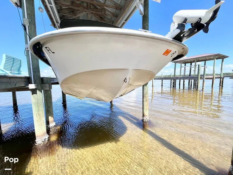 Slide: The Image of Carolina 178 DLV 2019 - 16261507