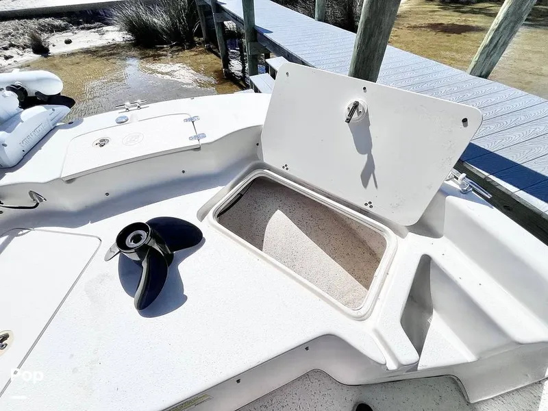 Slide: The Image of Carolina 178 DLV 2019 - 16261467