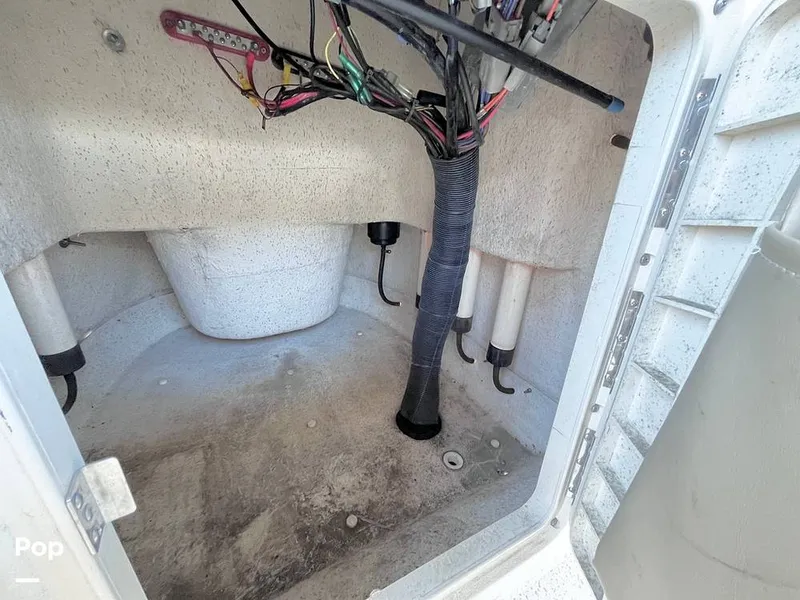 Slide: The Image of Carolina 178 DLV 2019 - 16261504