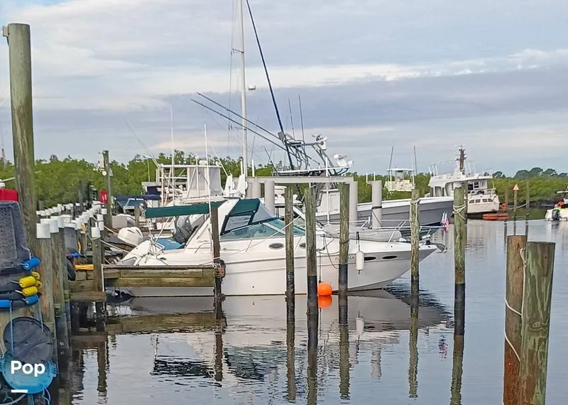 The Image of Sea Ray 290 Sundancer 1999 - 16257037