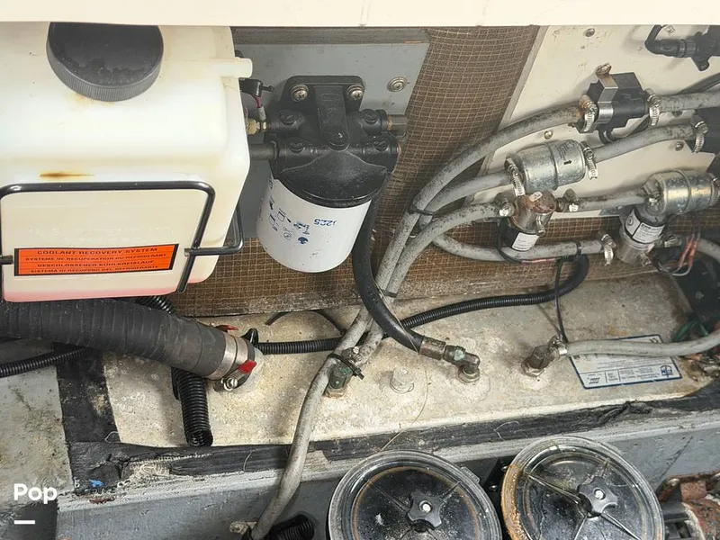 Slide: The Image of Sea Ray 290 Sundancer 1999 - 16283653