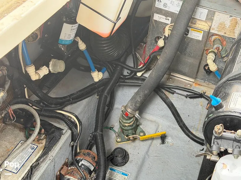 Slide: The Image of Sea Ray 290 Sundancer 1999 - 16283654